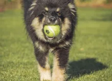 Hilarious Humor Quotes Guaranteed to Make You Laugh! 6