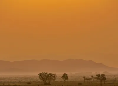 Unlock your potential with inspiring quotes from Brené Brown