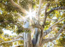 Discover Essential Life Lessons Quotes for Kids - Ignite Growth and Empowerment 3