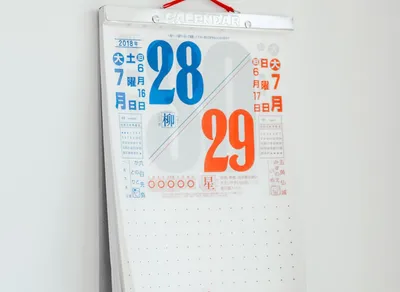 Check out the Funniest Quotes to Brighten Your Day