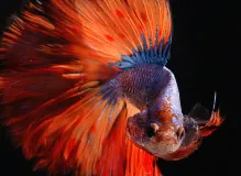 Discover Powerful Life Lessons Quotes to Transform Your Journey 7