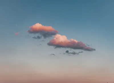 Unleash Laughter with Hilarious Born a Crime Humor Quotes