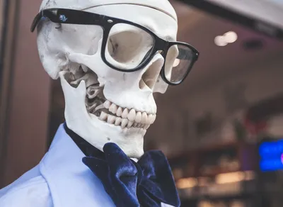 10 Hilarious Life Lessons That Will Leave You in Stitches!