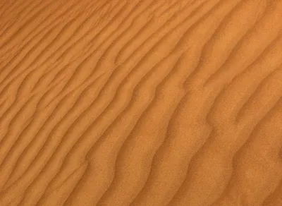 Unlock the Power of Vulnerability with Inspiring Brene Brown Quotes