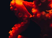 Discover Powerful Life Lessons and Truths - Uncover Inspiring Quotes! 5