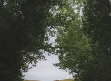 Boost Your Writing Skills with Inspiring Quotes