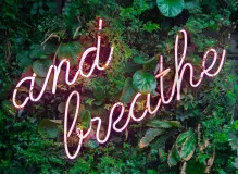 Get Inspired with the Weekly Quote of the Week