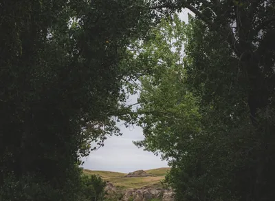 Boost Your Writing Skills with Inspiring Quotes